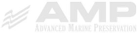 logo-amp